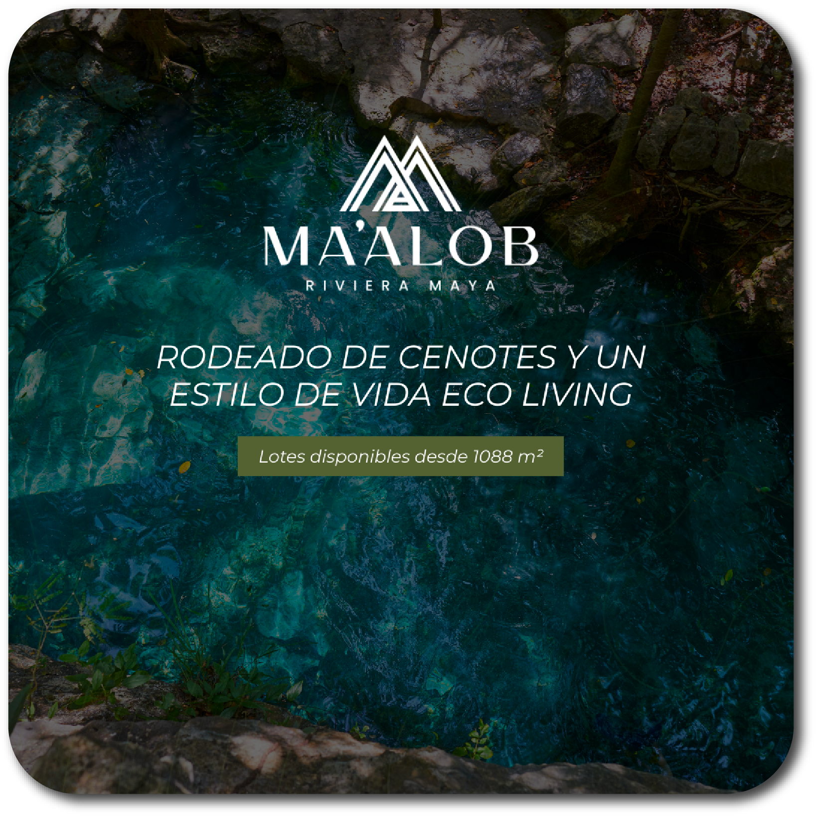 Maalob portafolio
